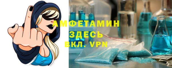 индика Балахна