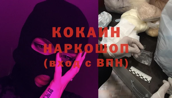 индика Балахна