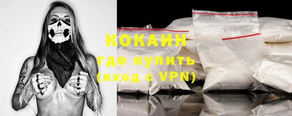 индика Балахна