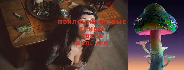 индика Балахна