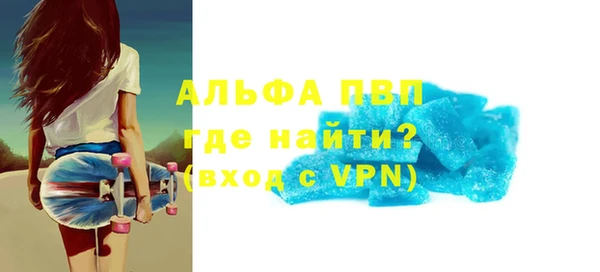 индика Балахна