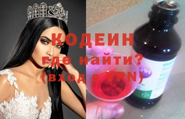 индика Балахна