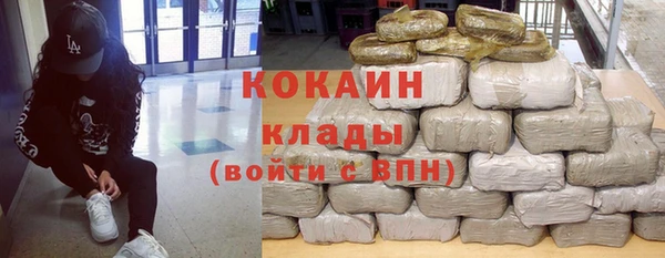 индика Балахна