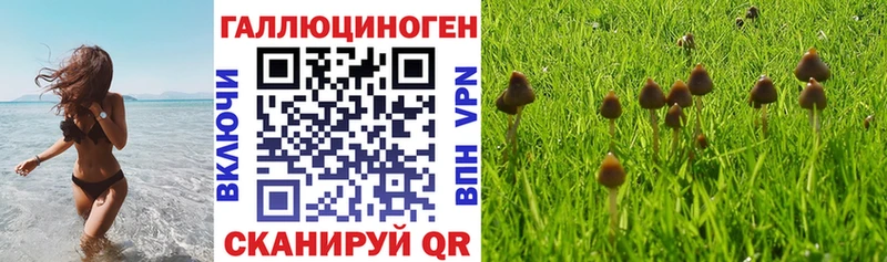 Галлюциногенные грибы прущие грибы  МЕГА как зайти  Тосно 